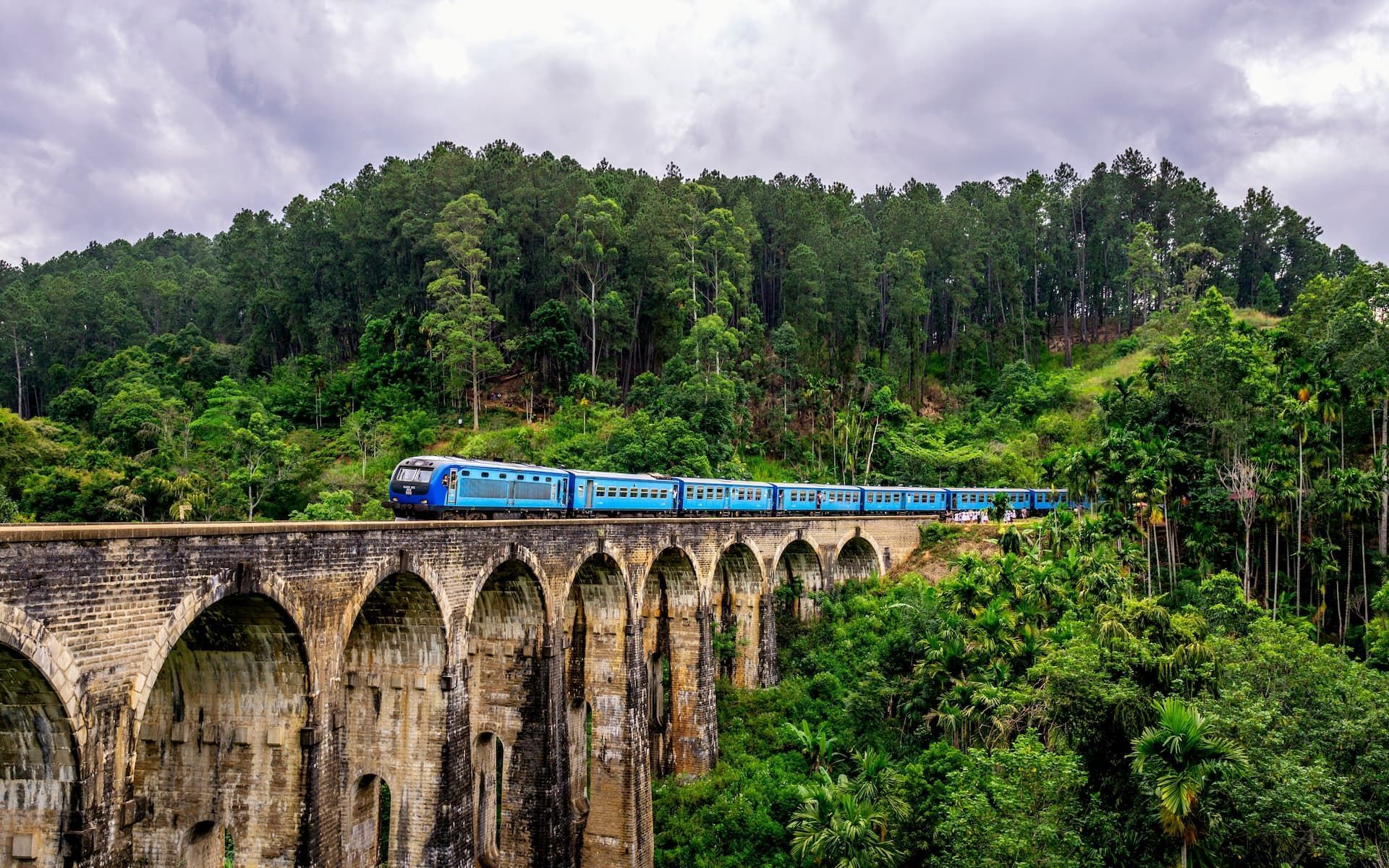 viaggio-di-gruppo-in-sri-lanka.jpg
