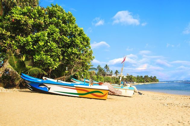 viaggio-di-gruppo-in-sri-lanka