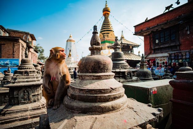 Nepal-monkey-bell-city